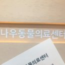 나우동물의료센터 이미지