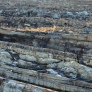 공룡화석지 이미지