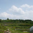 종연농장 이미지