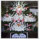 삼가-28 이미지