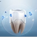 서울베스트치과의원 동탄점 이미지
