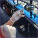 현대낚시 이미지