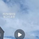 하늘약품 이미지