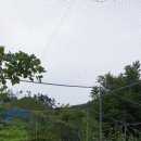 대웅농장 이미지