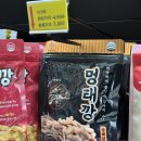 멍냥25영종점
