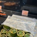 이룸 | 공덕 이룸웨딩홀 식사 연회장 뷔페 솔직 후기(하객후기)