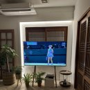 스테이너흐 이미지