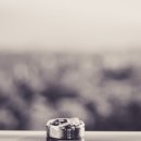 다이아몬드장 이미지