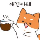 늘푸른초원