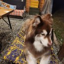 댕올라 | 10/20-22 강원도 홍천, 댕올라 여행