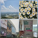 강남대로 156-6 | 6월 상반기 이모저모~ 소소감우의 먹고 노는 이야기!