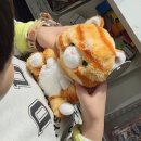 버드샵 | 강릉 중앙시장 기념품샵 월화선물가게 후기｜마그넷·버드나무 맥주·여행 선물 한 번에