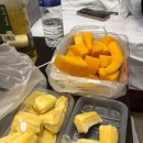 광장33호 이미지