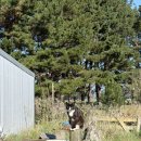 사과나무약국 | 뉴질랜드 우핑(Wwoof) 2 - 최고의 호스트 후기