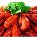 백옥양꼬치 - 안산시 단원구 원본로1길 20-3 | 백옥양꼬치