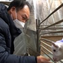 후계자농장 이미지