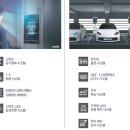 최근희소식