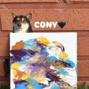 멍냥스테이 애견호텔유치원 이미지