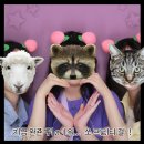 무주읍221 | [2023 청년관광공모전 트래블리그 실전여행 후기] 230718-230719 무주여행 1일차