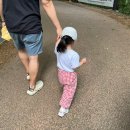 남해빌딩 | ɴᴀᴍʜᴀᴇ 아기 둘과 우리의 기도성지 보리암과 금산산장 여행기 ㅣ 남해 가볼만한곳