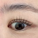 콜마트 | 포항 속눈썹펌 망고뷰티, 30분 투자로 2달간 유지되는 포항 효자동 속눈썹