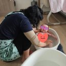 지엘유치원 | 우리 엄마도 이제는 전문직 여성 &lt;&lt;구미 산후도우미 취득, 취업, 구인 구직&gt;&gt;