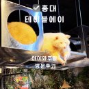 에이코스 - 화성시 동탄영천로 150 | 홍대 데이트코스 추천 테이블에이 동물체험 천국 재방문 후기