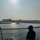 고래천국 | ​울산 아이와 가볼만한곳: 장생포 고래박물관부터 모노레일, 울산함까지 완벽 코스