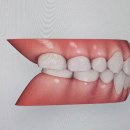 더라인치과교정과치과의원 이미지