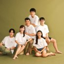 올리브트리 이미지