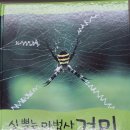 한**-1