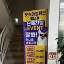 펫츠아일랜드 수월점 이미지