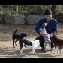 아이앤독 이미지