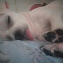 대손협동조합 이미지