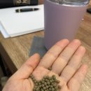 숙제한의원 이미지