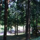 봉동 구수골 계곡 이미지