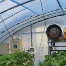 수동농장 이미지