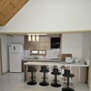 보람애견 이미지