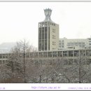 ★★중앙대학교 2005년도 편입학 입시결과 발표!!!!★★ 이미지