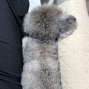 대화동네일 예쁘다그네일 자석페디 만족 후기(feat.해랑이)