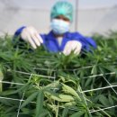 관보농장 이미지