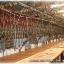 세기농장 이미지