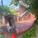 빛누리유치원 | 김해 여름 아이랑 가볼만한곳 등나무꽃 명소 코스 TOP3는 여기랍니다.