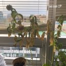 주렴요셉 | 033. ~8월 셋째주 | 해피 투게더