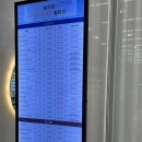 봄안경 | 메가트리아 안경점 봄안경 레이벤 안경 구매후기 안양페이 내돈내산
