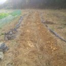 억새풀농장 이미지