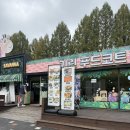 기린푸드코트 | 경기도 과천시 - 서울대공원 동물원 기린 푸드코트 아기랑 내돈내산 후기