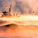 만선 - 서귀포시 서문로29번길 14 | 만선