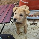 산채연구회 연시총회 | 느리게 가는 2월을 2겨내보자