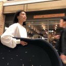 도무스 펫샵 네이버블로그